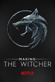 watch series the witcher